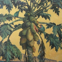 番木瓜-大美無言藝術空間